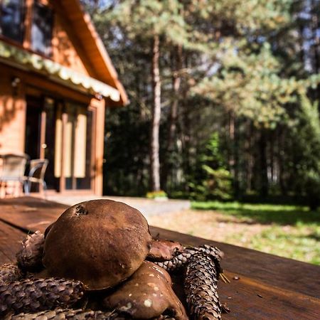 Domek Pod Klonem Zary  Eksteriør bilde