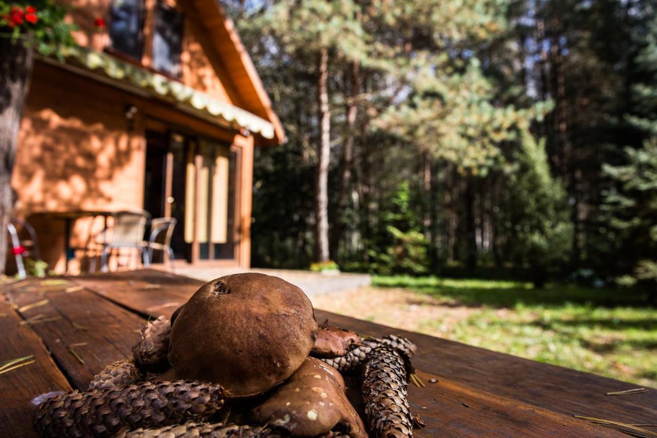 Domek Pod Klonem Zary  Eksteriør bilde